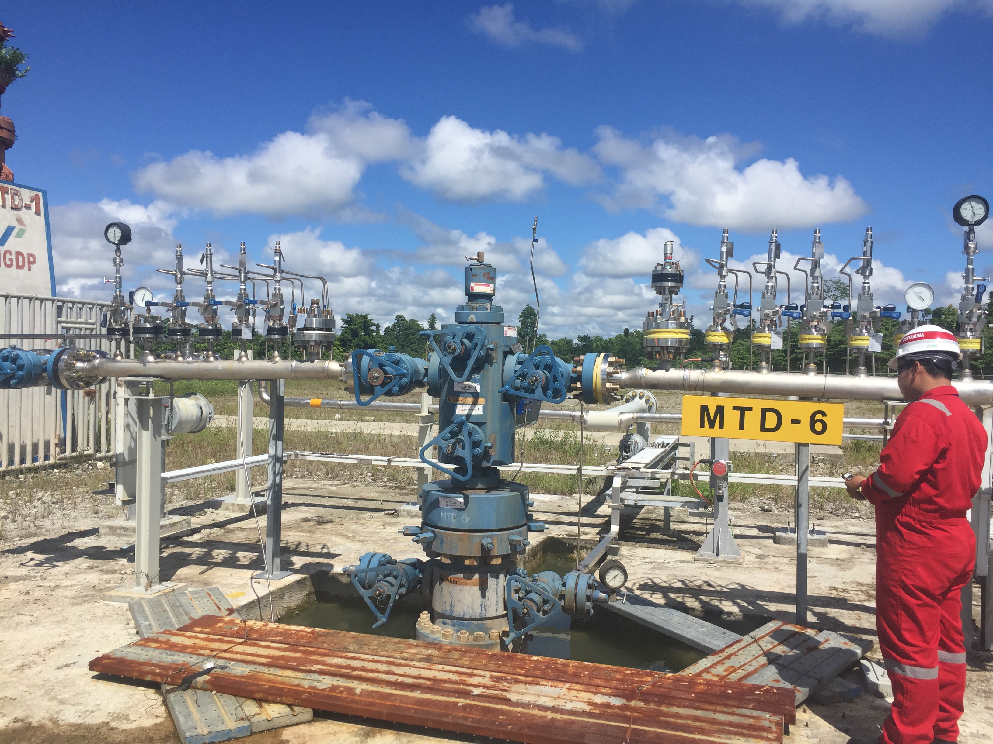 Wellhead Control Panel (WHCP) Maintenance & Technical Services